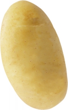 Soprano